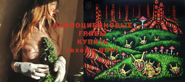 ECSTASY Богородицк