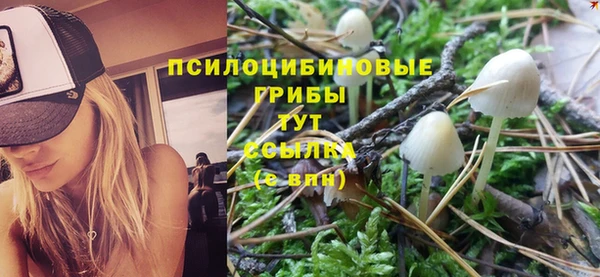 винт Богданович