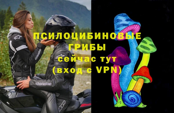 ECSTASY Богородицк