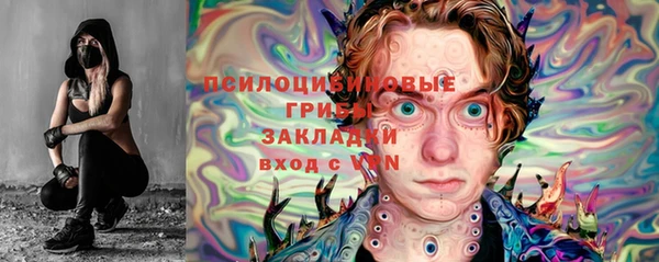 ECSTASY Богородицк
