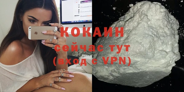 винт Богданович