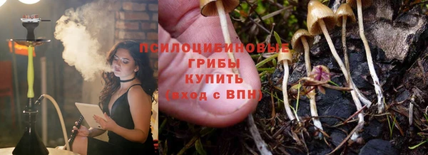 ECSTASY Богородицк