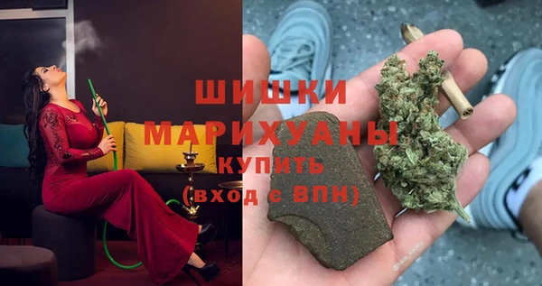 ECSTASY Богородицк