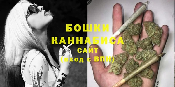 винт Богданович