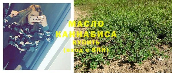 ECSTASY Богородицк