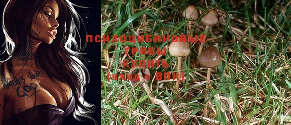 винт Богданович